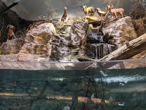 Sporting Goods Store «Bass Pro Shops», reviews and photos, 5160 Cherry Ave, San Jose, CA 95118, USA