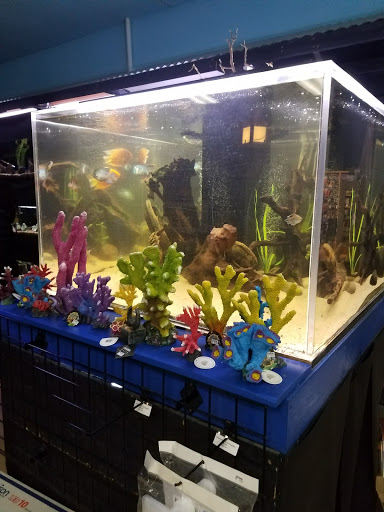Aquarium Grand Rapids