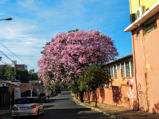 Escuelas de comercio en Asunción