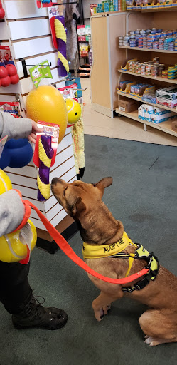 Pet Supply Store «Dog Daze Pet Shop», reviews and photos, 309 S Main St, North Syracuse, NY 13212, USA