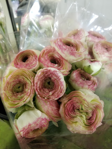 Florist «Sieck-Wright Floral Products», reviews and photos, 231 Monmouth St, Hightstown, NJ 08520, USA