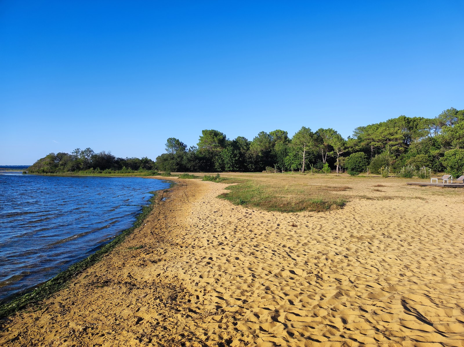 Plage Ste Eulalie en Born'in fotoğrafı - rahatlamayı sevenler arasında popüler bir yer