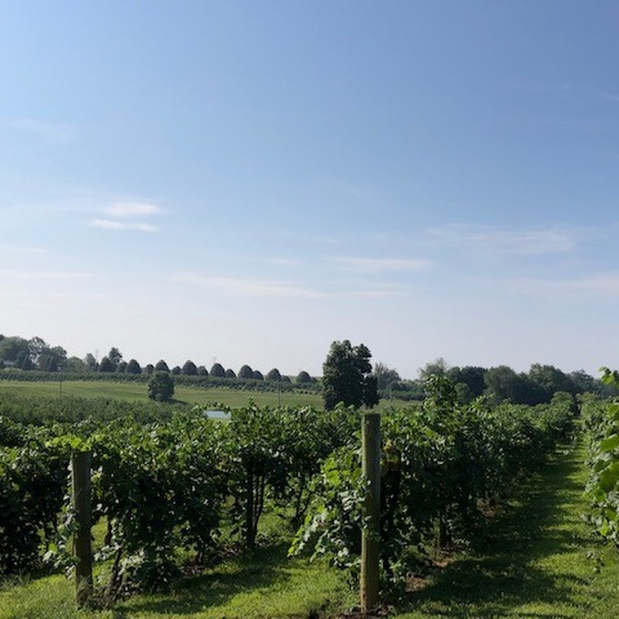 Huber's Orchard and Winery
