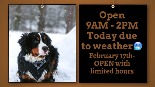 Pet Store «Pets Plus», reviews and photos, 454 TN-46, Dickson, TN 37055, USA