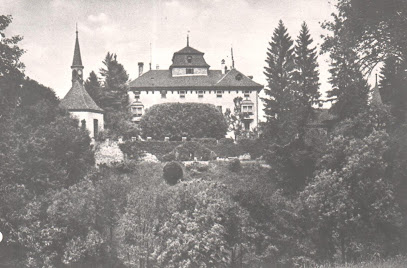 Stiftung Schloss Hilfikon