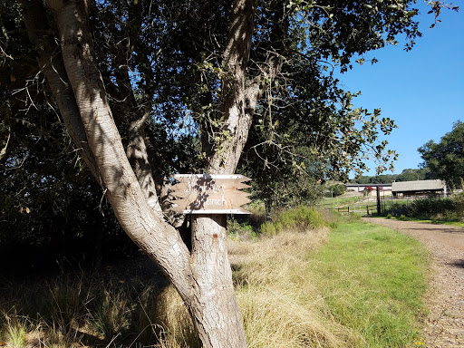 Park «Chumash Park», reviews and photos, Mankins Ranch Rd, Pismo Beach, CA 93449, USA