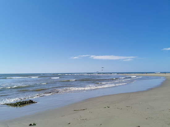 Playa Palapa