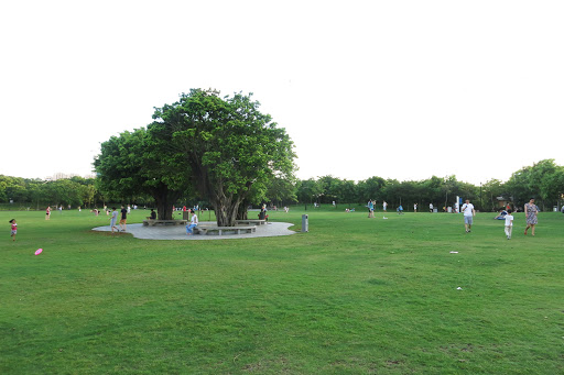 Dashahe Park