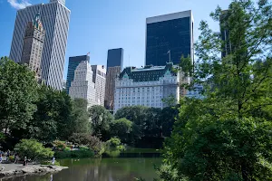 The Pond at Central Park image