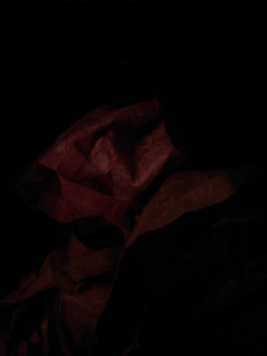 Live Music Venue «The Arena», reviews and photos, 7830 Normandy Blvd, Jacksonville, FL 32221, USA