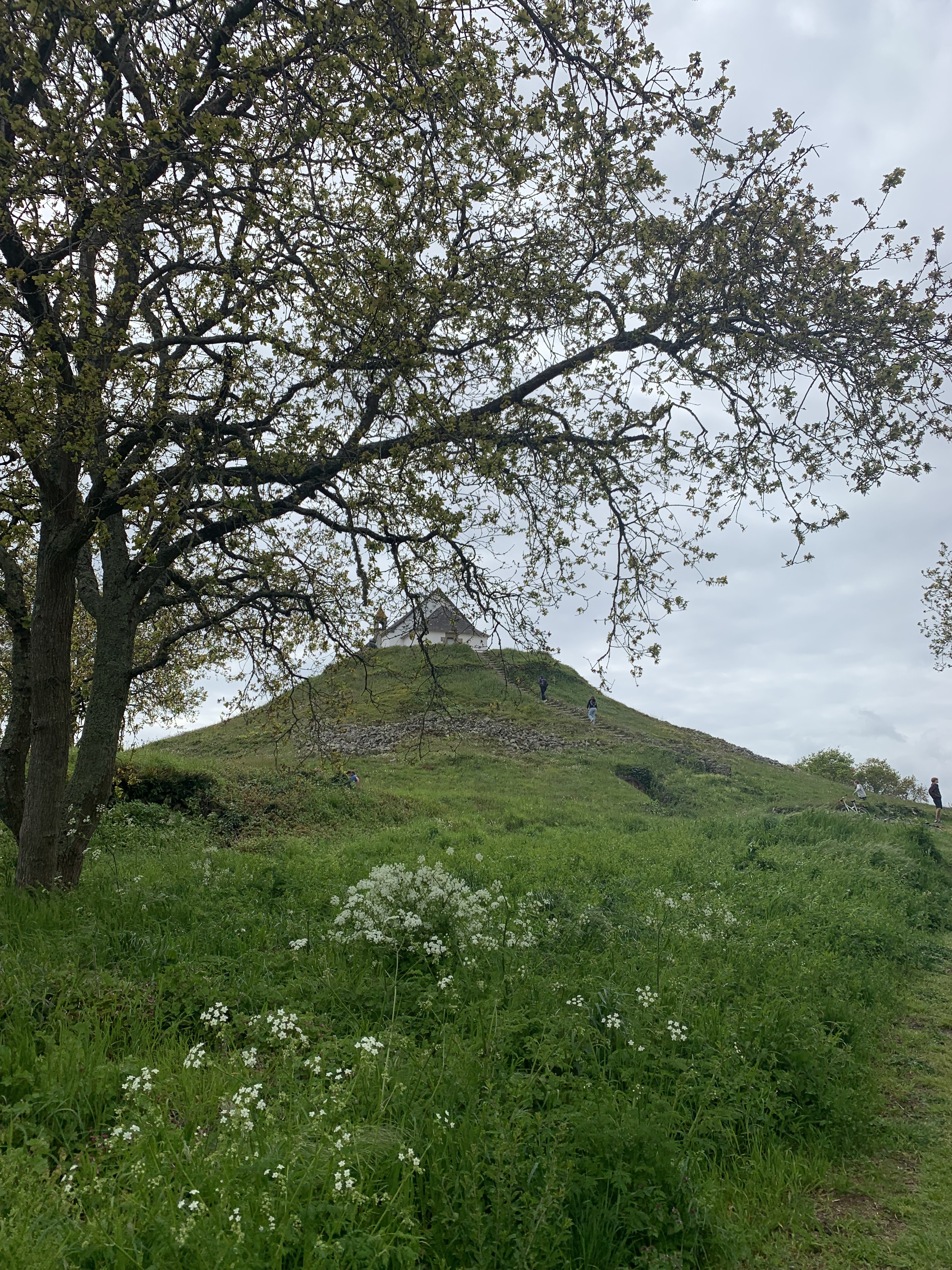 Photo n° 1 de l'avis de jean-Charles.U fait le 23/04/2023 à 16:03