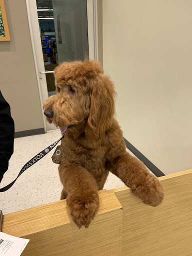 Pet Supply Store «Petco Animal Supplies», reviews and photos, 1090 Fort Union Blvd, Midvale, UT 84047, USA