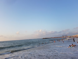 Plage Khelloufi的照片 野外区域