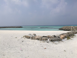Maafushi Beach'in fotoğrafı - rahatlamayı sevenler arasında popüler bir yer