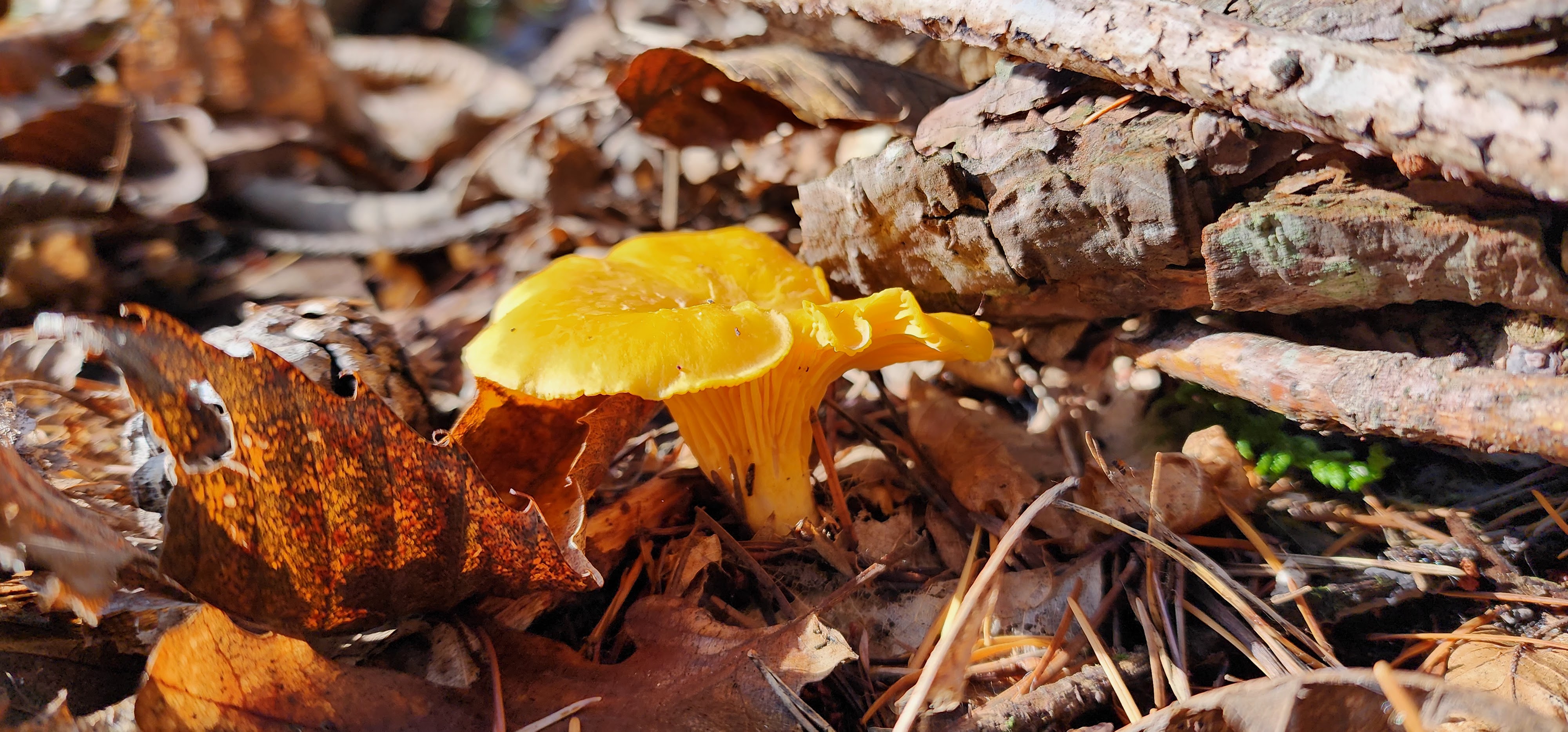 Photo n° 4 de l'avis de Angie. fait le 04/11/2022 à 06:49