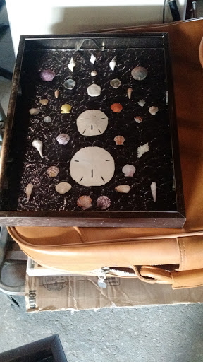 Auction House «Berners Auction, Inc.», reviews and photos, 1500 Jacobs Rd, DeLand, FL 32724, USA