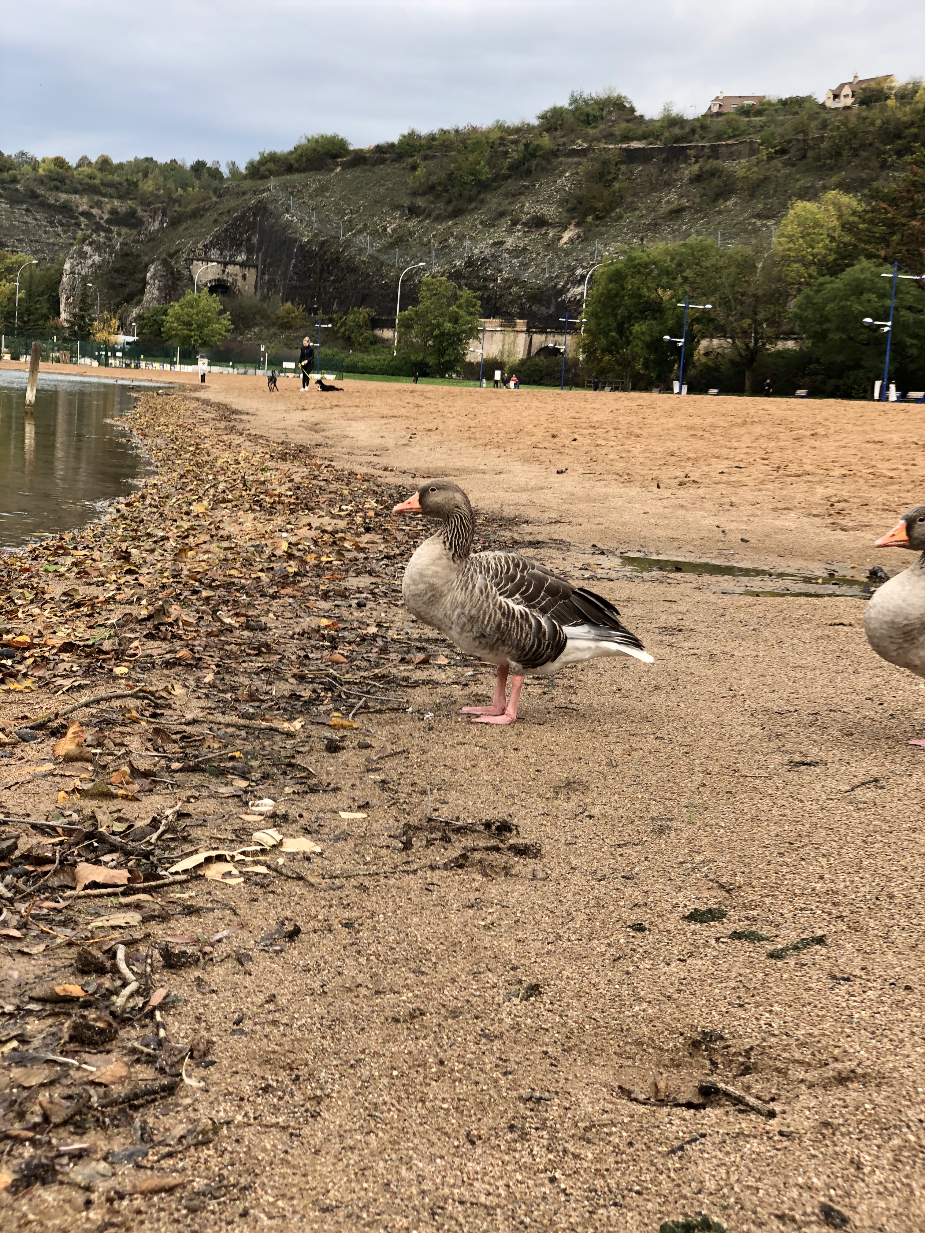 Photo n° 9 de l'avis de mickaël.a fait le 20/10/2019 à 11:43