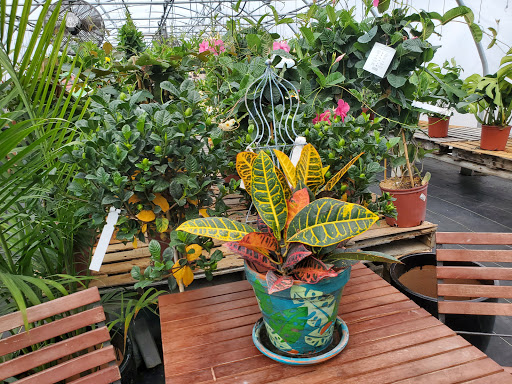 Garden Center «Beachside Gardens & Gifts», reviews and photos, 3725 US-12, Michigan City, IN 46360, USA