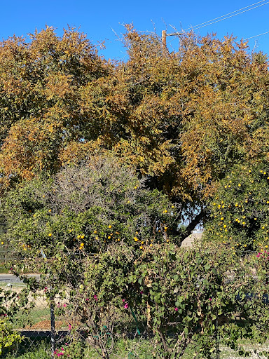 Mission R.V. Park image