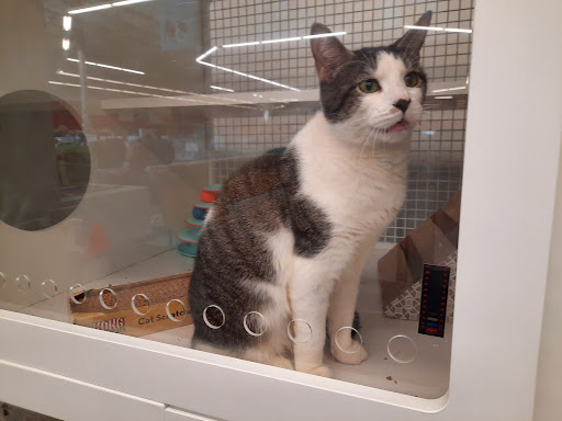 Pet Supply Store «Petco Animal Supplies», reviews and photos, 753 53rd Ave NE, Fridley, MN 55421, USA