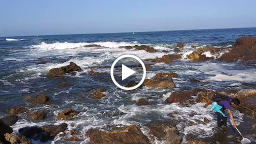 Club «Palos Verdes Beach & Athletic Club», reviews and photos, 389 Paseo Del Mar, Palos Verdes Peninsula, CA 90274, USA