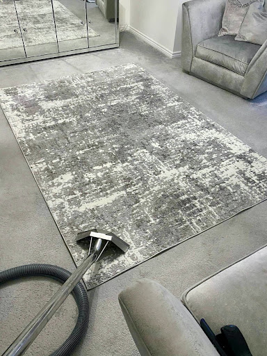 Better Choice Carpet Steamers