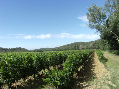 Château de Roux Hubert de MOROGUES à Bragassargues