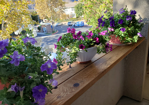 Hardware Store «DIY Home Center», reviews and photos, 28750 Roadside Dr, Agoura Hills, CA 91301, USA