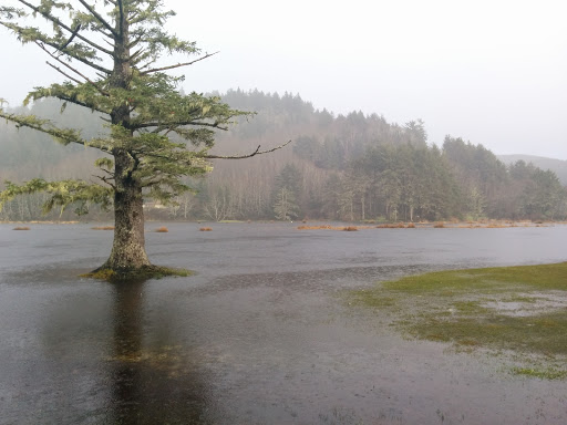 Golf Course «Neskowin Marsh Golf Course», reviews and photos, 48405 Hawk Dr, Neskowin, OR 97149, USA