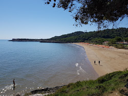 Foto di Spiaggia di Crovatico con molto pulita livello di pulizia