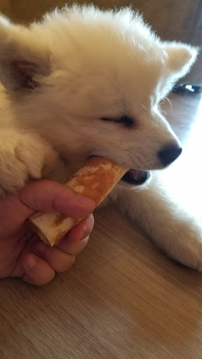 Pet Supply Store «Mad Cat Pet Supplies», reviews and photos, 7820 Mineral Point Rd, Madison, WI 53717, USA