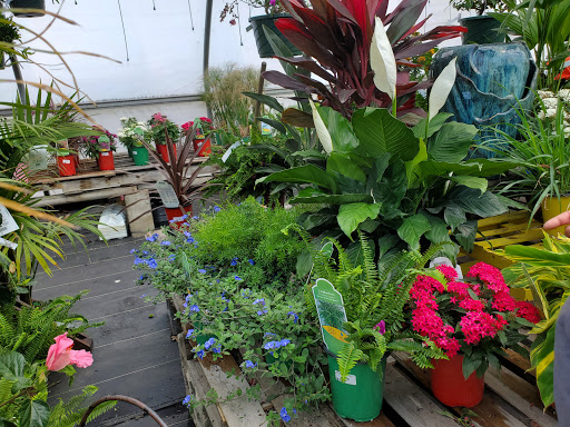 Garden Center «Beachside Gardens & Gifts», reviews and photos, 3725 US-12, Michigan City, IN 46360, USA