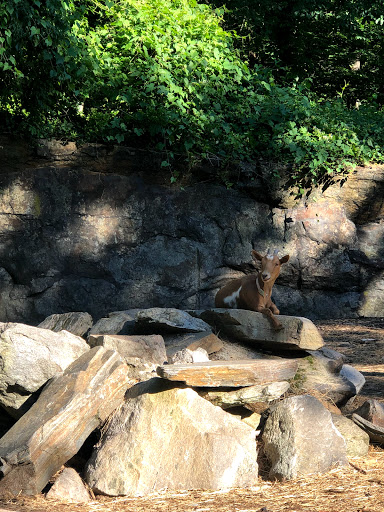 Nature Preserve «Greenburgh Nature Center», reviews and photos, 99 Dromore Rd, Scarsdale, NY 10583, USA