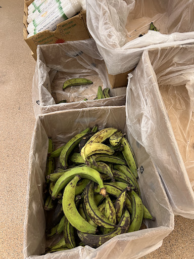 Grocery Store «Stop & Shop», reviews and photos, 460 Blue Hill Avenue, Boston, MA 02121, USA