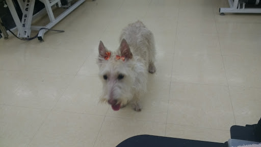 Pet Supply Store «Pet Supplies Plus», reviews and photos, 4808 Ridge Rd, Brooklyn, OH 44144, USA