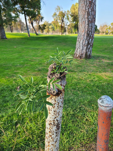 Golf Course «Willowick Golf Course», reviews and photos, 3017 W 5th St, Santa Ana, CA 92703, USA