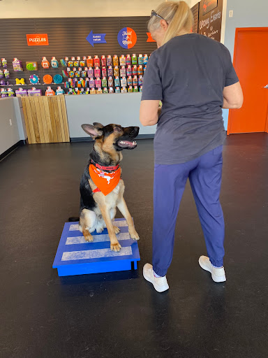 Zoom Room Dog Training
