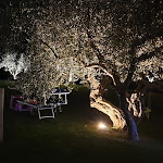 Photo n°9 de l'avis de Marco.i fait le 27/08/2019 à 19:59 sur le  B&b chalet negli ulivi à Silvi