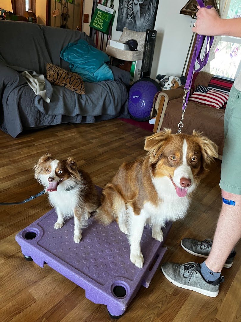Purple Tyger Creations Dog Training and Boarding