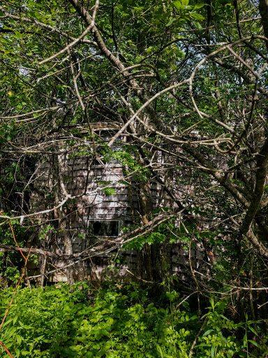 Grocery Store «Market Basket», reviews and photos, 27 Portsmouth Ave, Stratham, NH 03885, USA