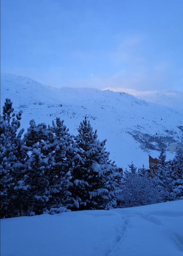 Photo n° 3 de l'avis de 1000etG.I fait le 09/02/2019 à 07:39