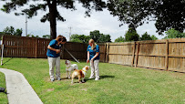 Hilton Animal Hospital - Photo 8 - Car repair in Newport News, VA, Norfolk