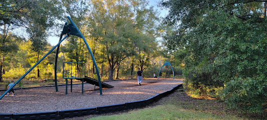 New Tampa Nature Park Play Area