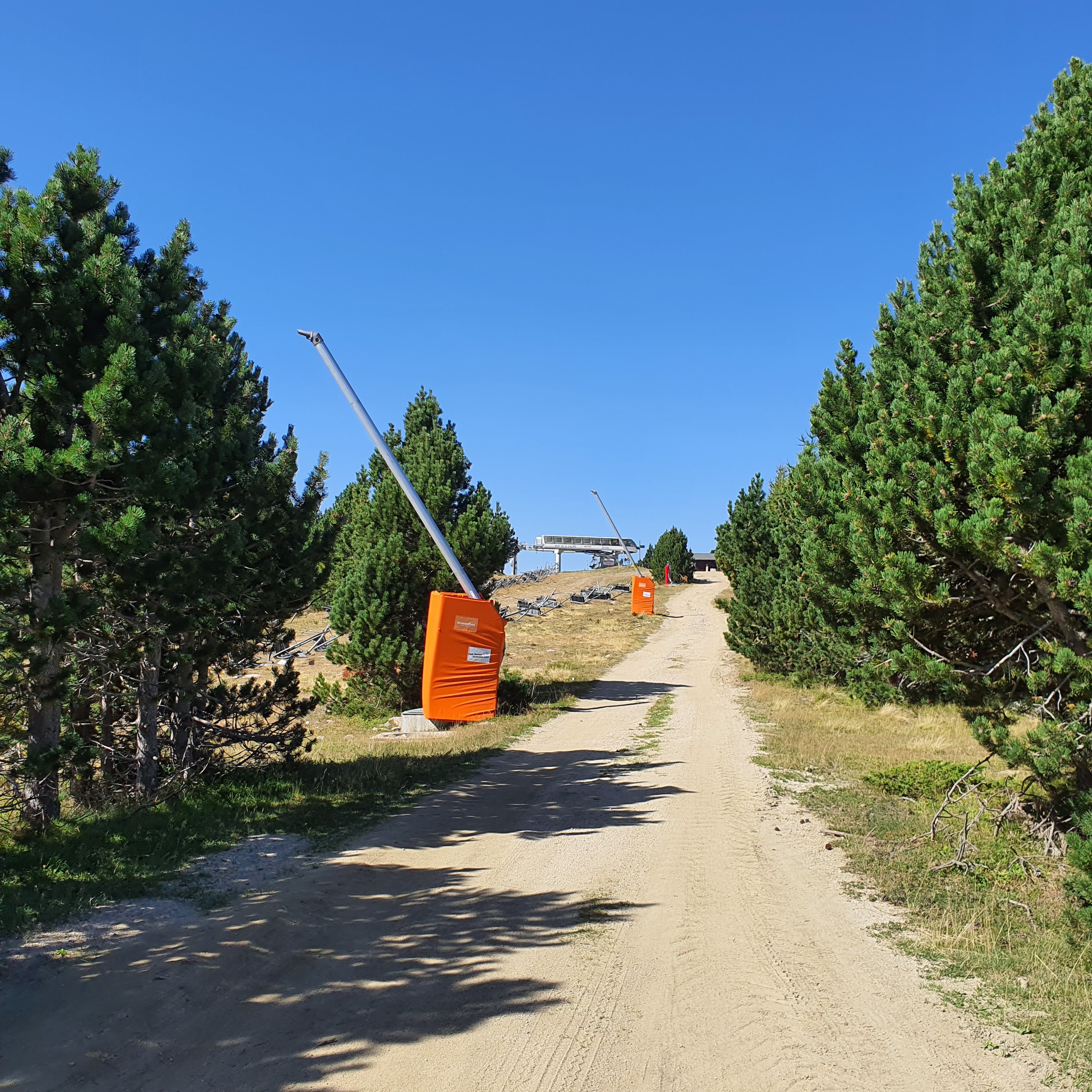 Photo n° 42 de l'avis de Gazelle.a fait le 30/09/2023 à 16:47
