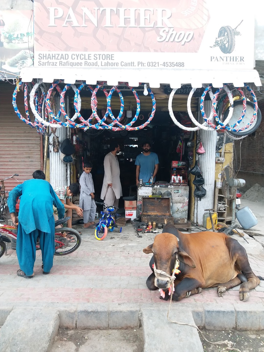 Shahzad cycle store