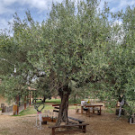 Photo n°12 de l'avis de Paolo.e fait le 18/09/2023 à 20:31 sur le  Agriturismo Su Leunaxiu à Soleminis