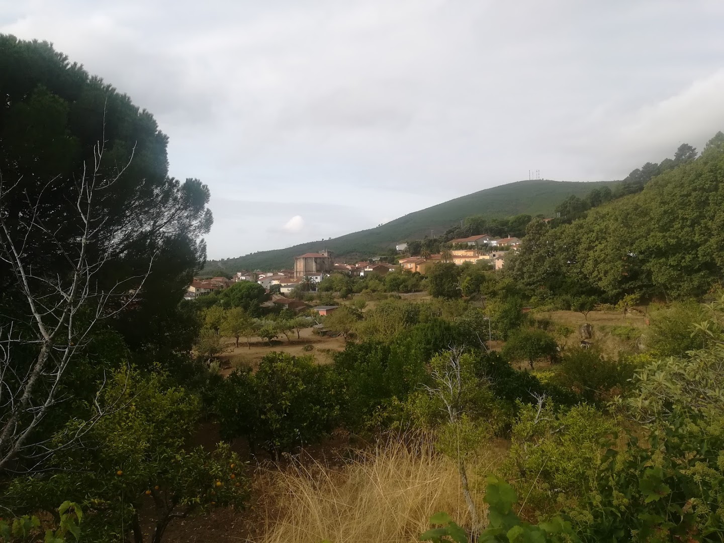 ARQUITRUST, Arquitectura de confianza