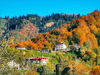 Yeşiltepe Köyü Muhtarlığı