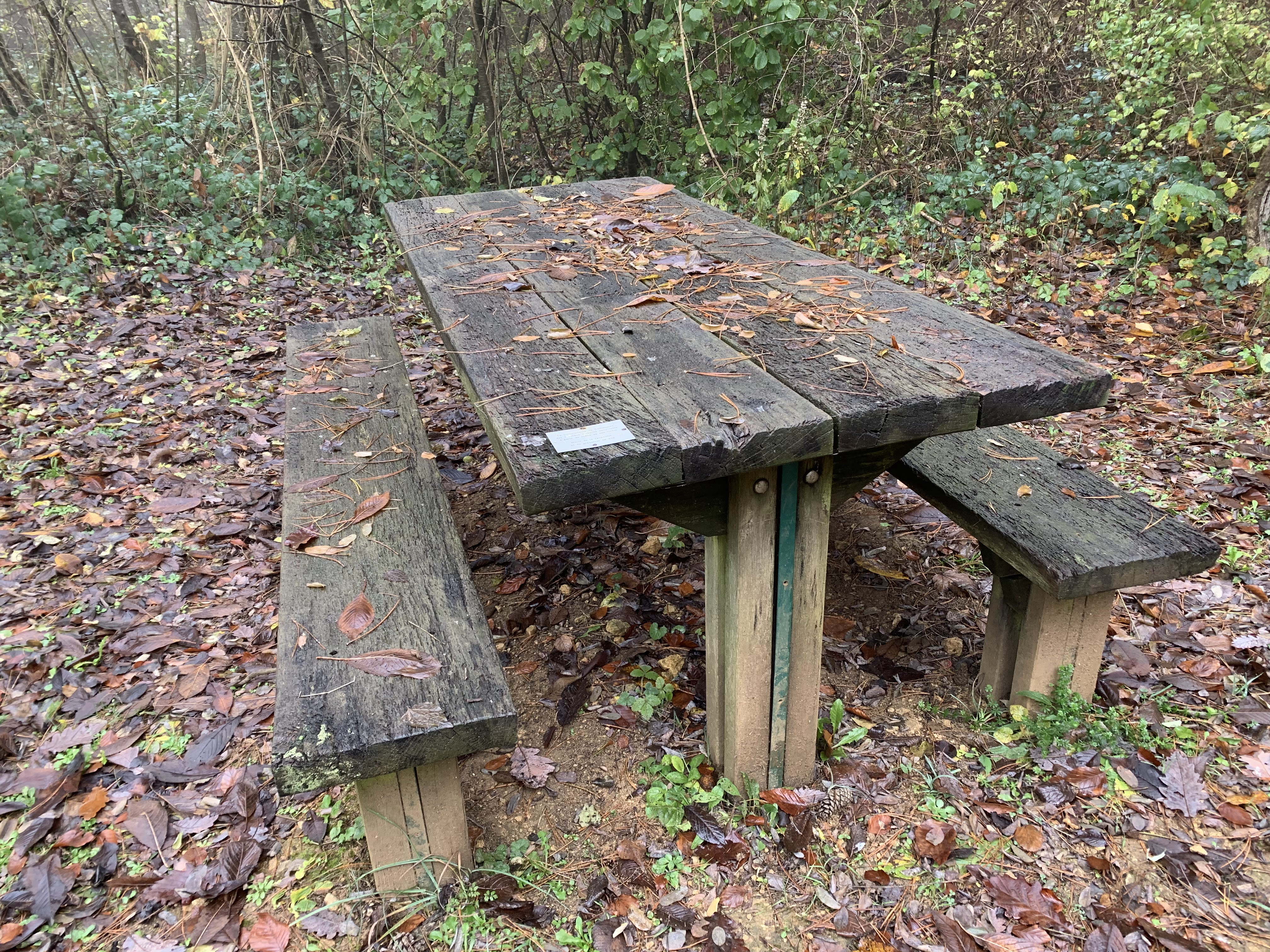 Photo n° 2 de l'avis de David.O fait le 12/11/2021 à 19:51