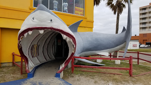 Gift Shop «North Beach Gift Shop», reviews and photos, 2901 Surfside Blvd, Corpus Christi, TX 78402, USA